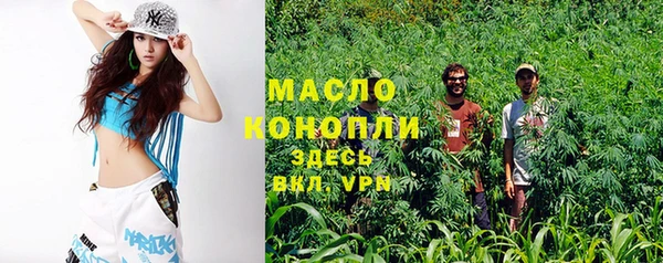 прущие грибы Аркадак