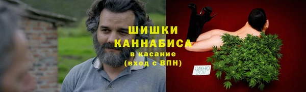 прущие грибы Арсеньев