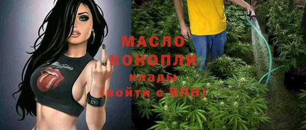 прущие грибы Аркадак