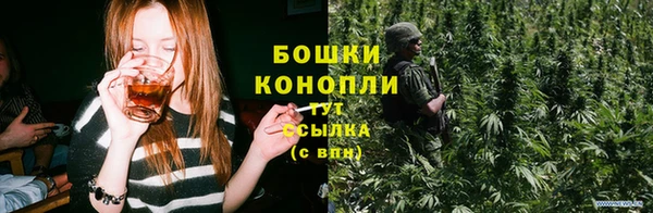 прущие грибы Арсеньев