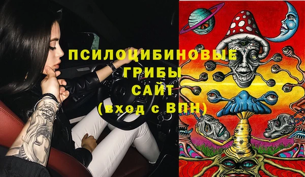 прущие грибы Арсеньев