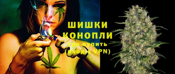 прущие грибы Арсеньев