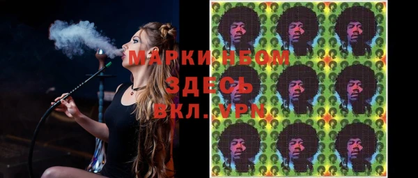 прущие грибы Аркадак
