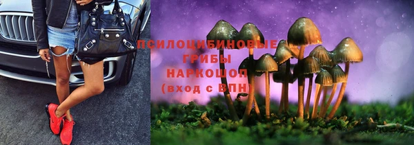 прущая мука Армянск